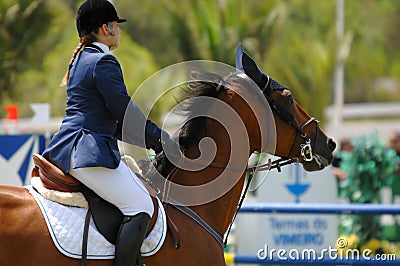 Equestrian Show Jumping