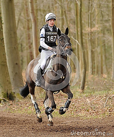 Equestrian sport,galloping horse