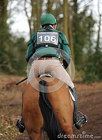 Equestrian sport,galloping horse