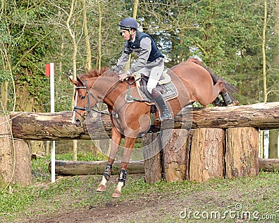 Equestrian sport: horse jumping