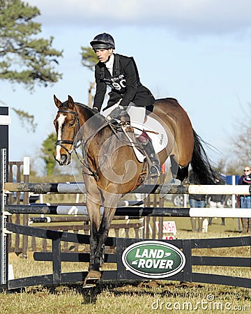 Equestrian sport: horse jumping