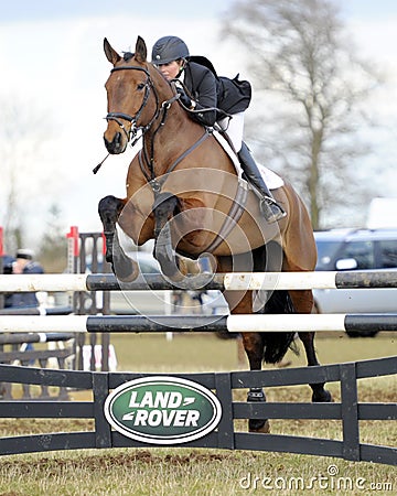 Equestrian sport: horse jumping