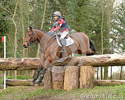 Equestrian sport: horse jumping