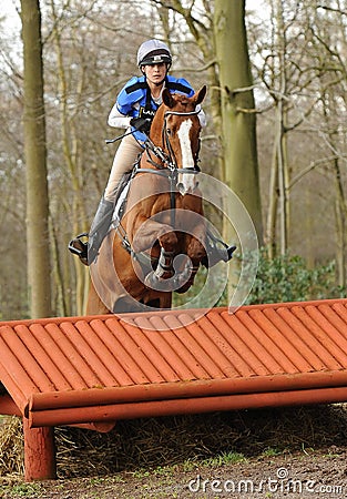 Equestrian sport: horse jumping