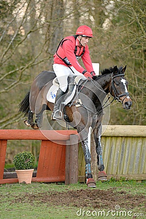 Equestrian sport: horse jumping