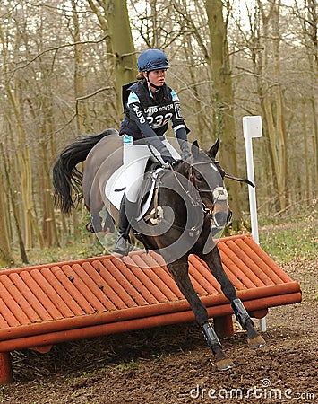 Equestrian sport: horse jumping