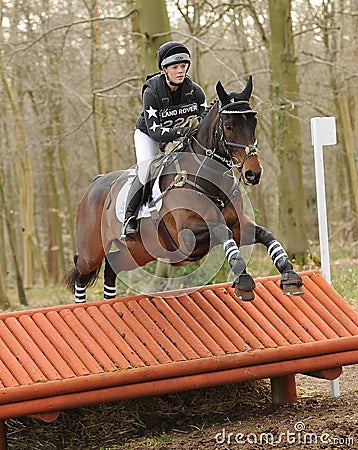 Equestrian sport: horse jumping