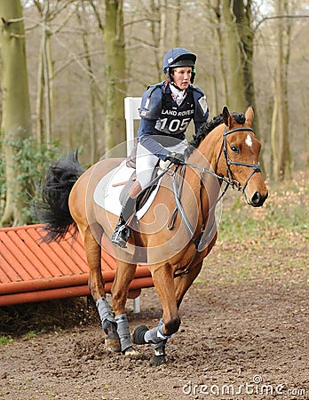 Equestrian sport: horse jumping