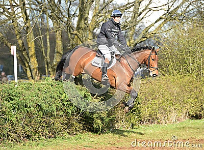 Equestrian sport: horse jumping