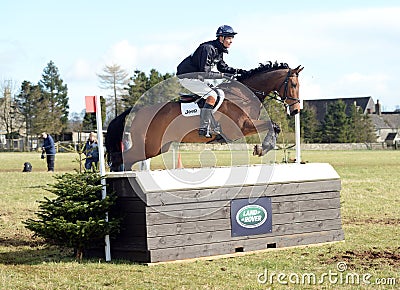 Equestrian sport: horse jumping