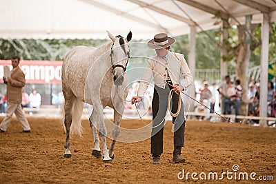 Equestrian test functionality with 3 pure Spanish horses