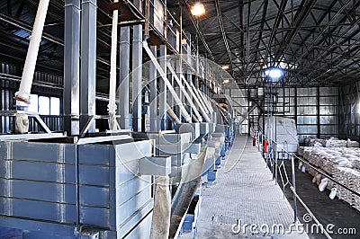 The equipment of rice factory.