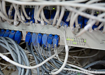 Ethernet cables connected to computer internet server
