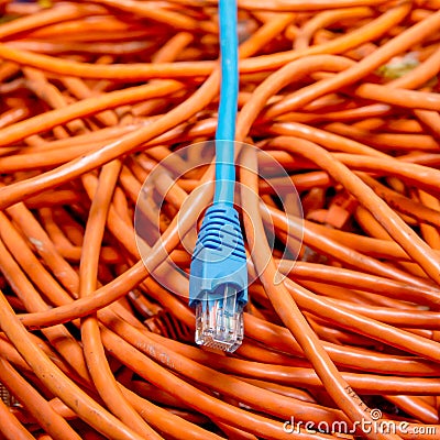 Ethernet cables tangled blue and orange