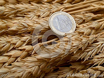 Euro and ears of wheat