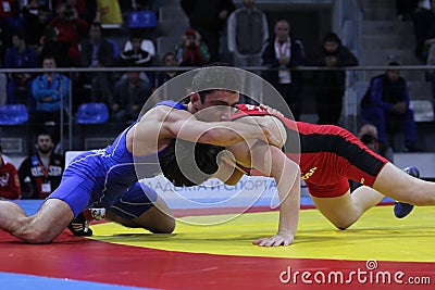 2014 European cadet wrestling championship