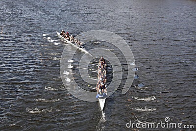 Bild zu Everett Rowing