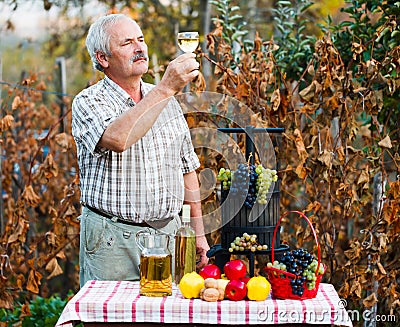 Examining of wine by man