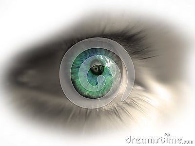 Eye