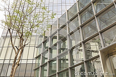 Facade of modern office building with glass wall, business building exterior, outside commercial building