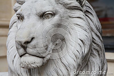 Face of the lion in the garden of Beylerbeyi Palace, Istanbul.