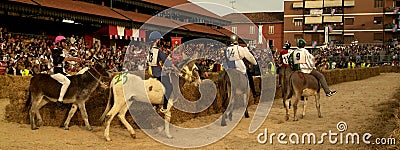 Fair and white truffle of Alba donkey race.