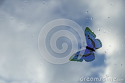 Fake butterfly on cloudy sky background
