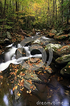 Fall Mountain Stream