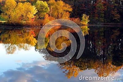 Fall Scene with Autumn Trees Reflection in Lake