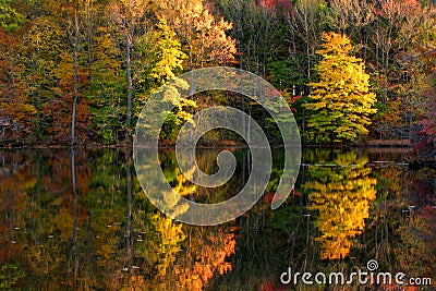 Fall Scene with Lake and Trees Autumn Reflection