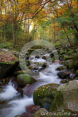 Downfall Stream Downfall Stream