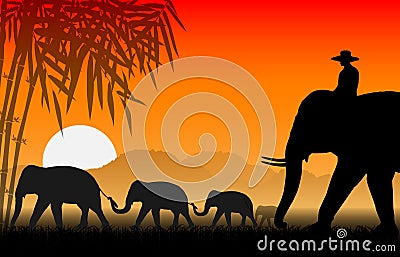 Family of elephants