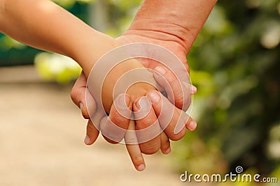 Family father and child son hands nature