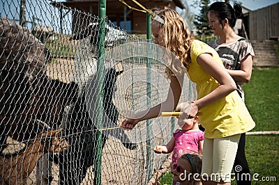 Family feeding animals in farm