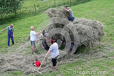 Family is harvesting hay before the rain is coming