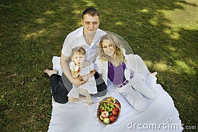 Family having picnic in the park