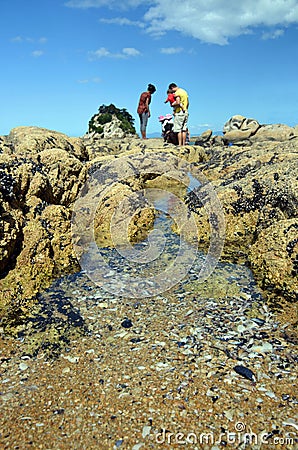 Family on Holiday Explores Rock Pools.