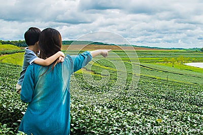 Family looking at tea plantation field