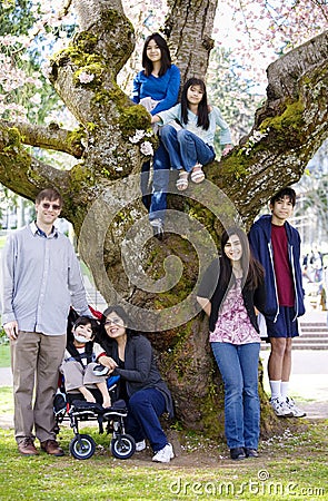 Family of seven by large cherry tree in full bloom