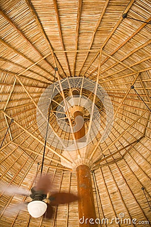 Fan Under Bamboo Roof