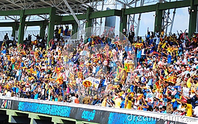 Fans cheer on the Lions at Cricket World Cup Match