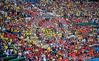 Fans during a soccer game on the stands