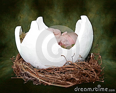 Fantasy Portrait Ifant Sleeping in Cracked Egg