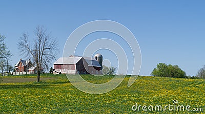 Farm, barn and silo hill of field with dandelions