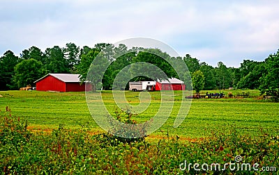 Farm Equipment, Barn, Stable, and Horse Trailer