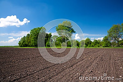 Farm field