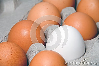 Farm Fresh Eggs