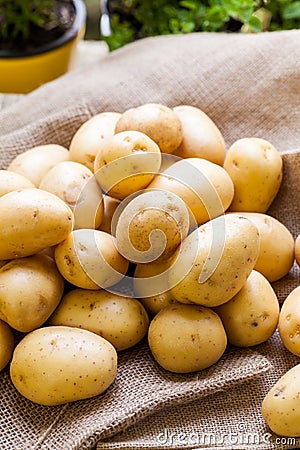 Farm fresh potatoes on a hessian sack