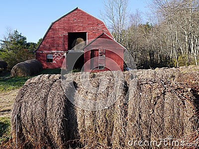 Farm: hay bales with old red barn - h