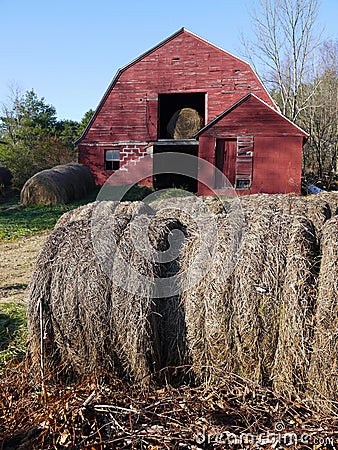 Farm: hay bales with old red barn - v